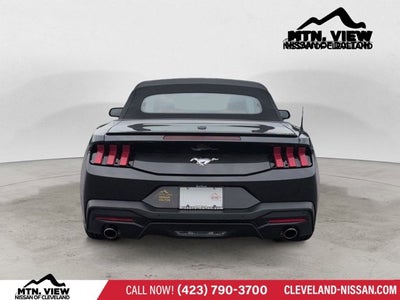 2024 Ford Mustang EcoBoost Premium