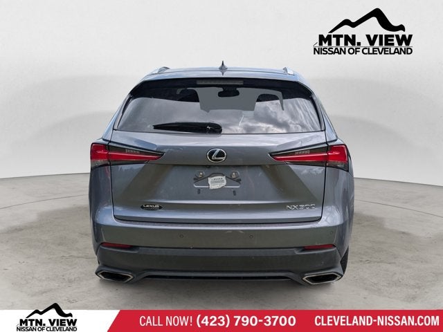 2019 Lexus NX NX 300