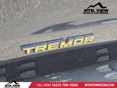 2025 Ford Expedition Tremor